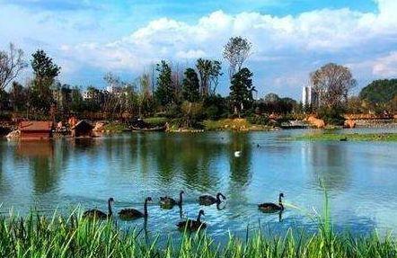 花溪花果园爆料事件视频,视频揭露惊人真相