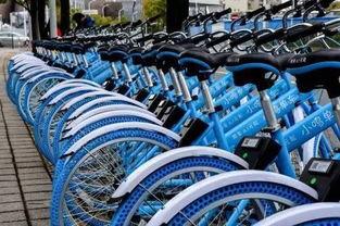 小鸣单车最新爆料 第1张 小鸣单车最新爆料 第1张