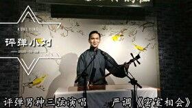 评弹小刘今日爆料,揭秘娱乐圈幕后真相  第1张